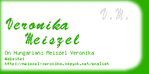 veronika meiszel business card